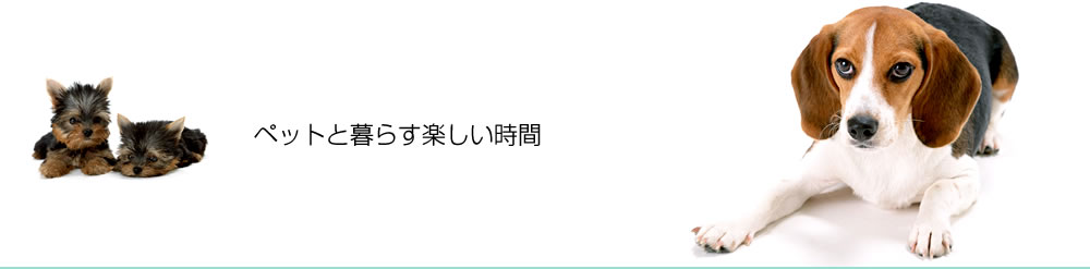 ���D�݂̃f�U�C���e���v���[�g�����I�т��������B����y�Ƀz�[���y�[�W�����܂��I