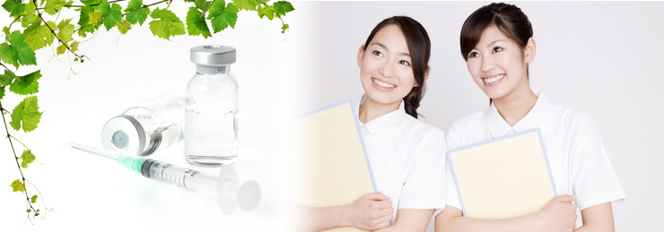 お手軽にテンプレートプランでホームページをはじめてみませんか？